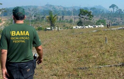 Concurso do Ibama com 260 vagas é autorizado; saiba mais