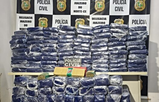 Polícia apreende 308 kg de maconha transportados em barco rebocado na BR-116