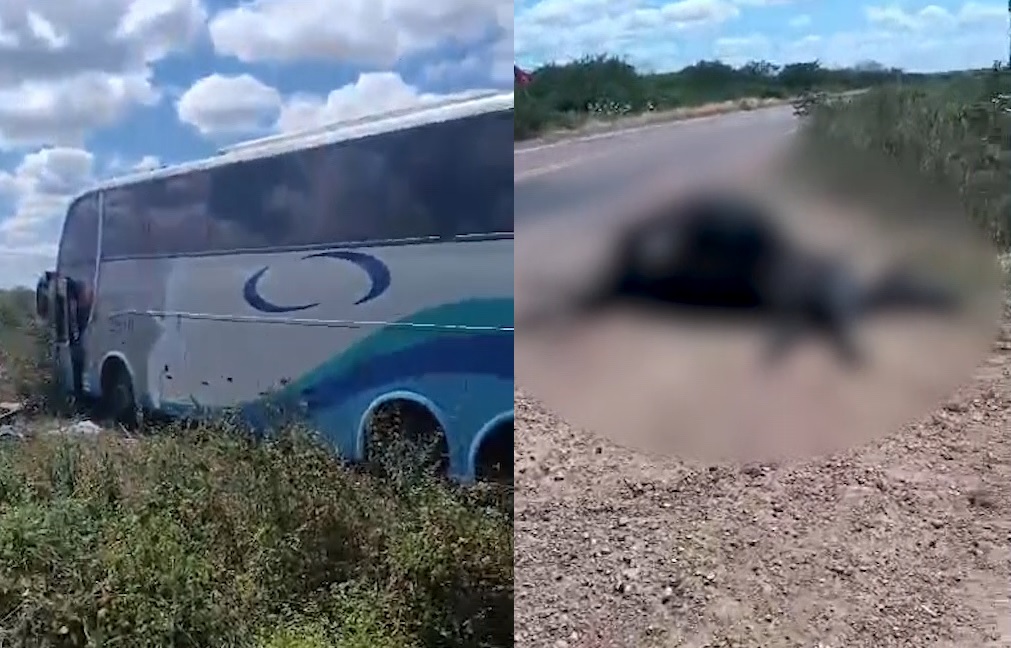 Ônibus atropela vacas em acidente em Jaguaretama, no interior do Ceará