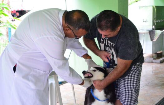 Pet Ceará Móvel chega aos bairros Vila Peri e Vila União nesta quinta-feira (5)