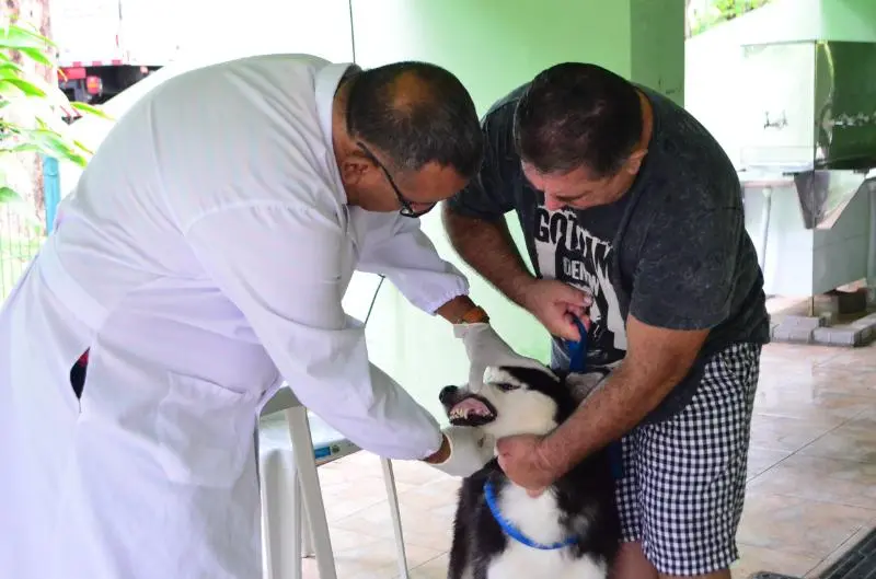 Pet Ceará Móvel chega aos bairros Vila Peri e Vila União nesta quinta-feira (5)