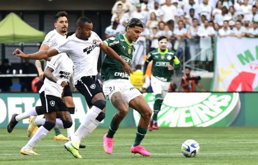 Botafogo x Palmeiras: assista ao vivo ao jogo de hoje (17/07)