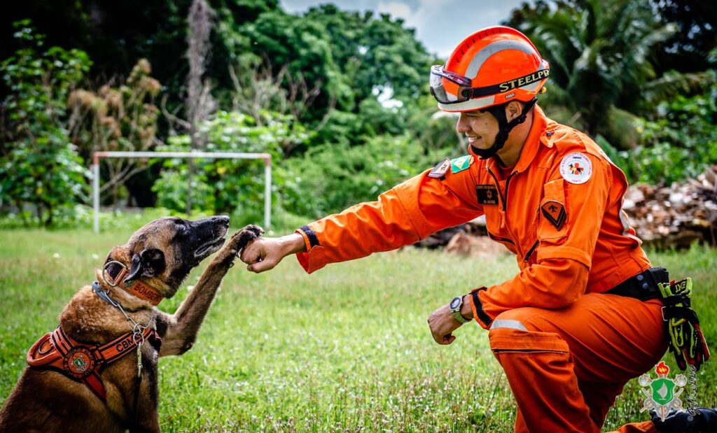 Mais de 6 mil animais foram resgatados nos primeiros seis meses de 2024 no Ceará