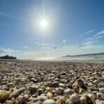 Ceará possui 57 pontos de praia próprios para banho, informa Semace