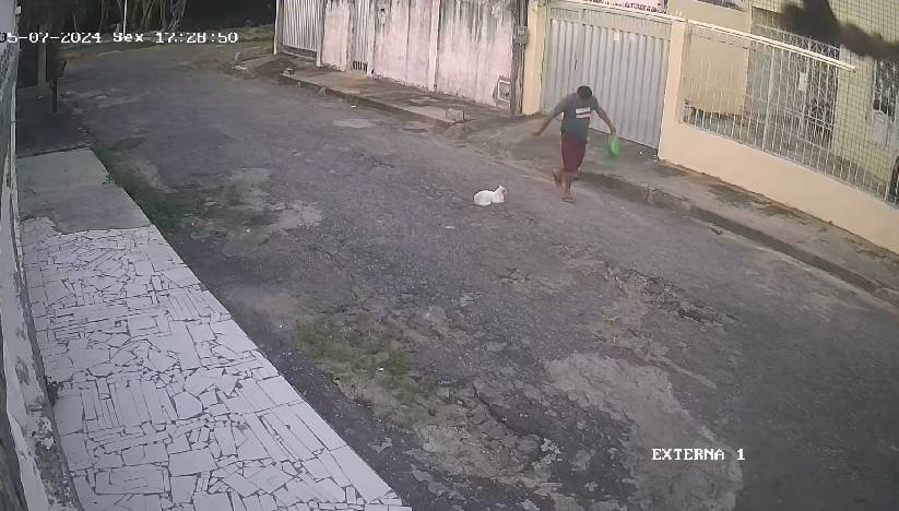 Homem atinge gato com pedra ao passar perto do animal em rua do Papicu