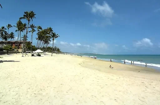 Inmet emite alerta de vendaval para 169 cidades do Ceará neste final de semana