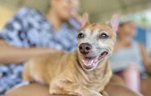 Giro Pet Ceará leva atendimento veterinário à Vila Social do Genibaú