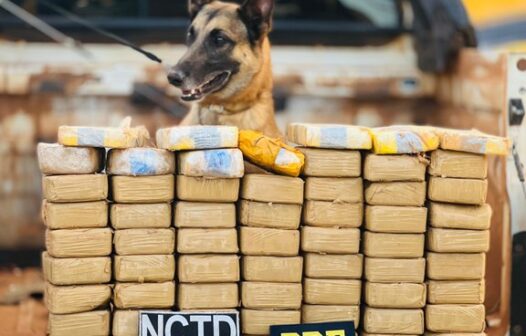 Tráfico de drogas: paraibano é preso no Ceará transportando 64 kg de crack e cocaína