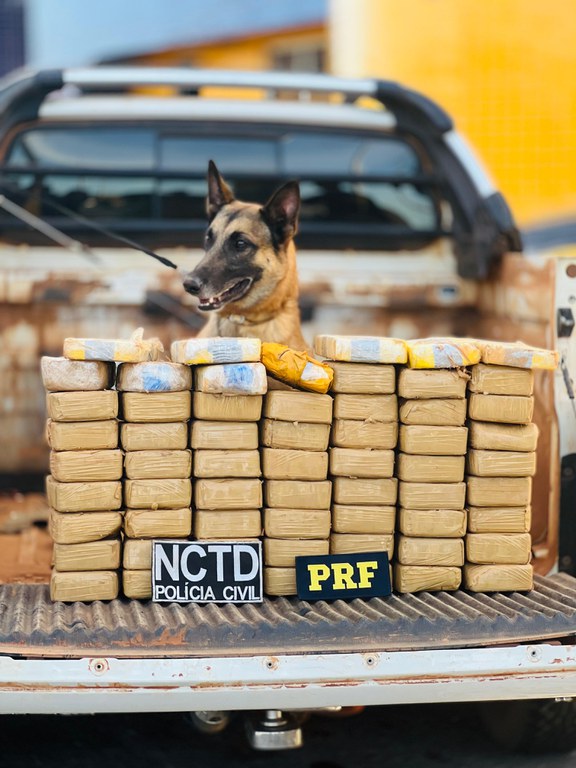 Tráfico de drogas: paraibano é preso no Ceará transportando 64 kg de crack e cocaína