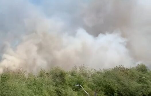 Incêndio em vegetação é registrado na Avenida Alberto Craveiro, em Fortaleza