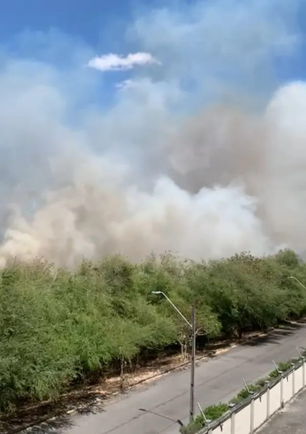 Incêndio em vegetação é registrado na Avenida Alberto Craveiro, em Fortaleza