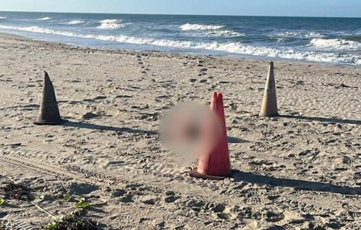 Cabeça humana é encontrada na praia após corpo decapitado ser achado no mar em cidade vizinha