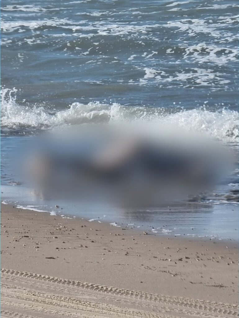 Corpo de homem é encontrado decapitado e boiando na Praia do Cauípe, no Ceará