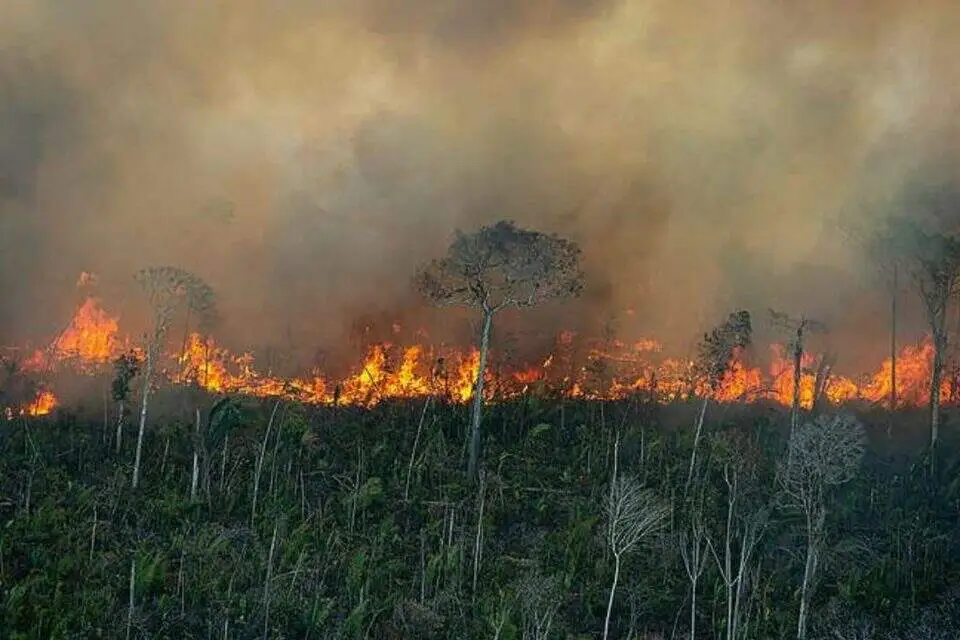 Entenda como estão as queimadas na Amazônia em 2024