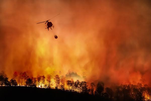 Queimadas em São Paulo atingem 34 cidades em alerta máximo; veja onde começou o fogo