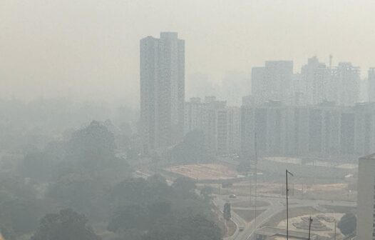 Céu de Brasília amanhece tomado por fumaça neste domingo (25)