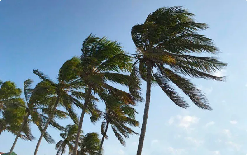 Litoral do Ceará e de outros estados do NE poderão ter ventos de até 60 km/h, alerta Marinha