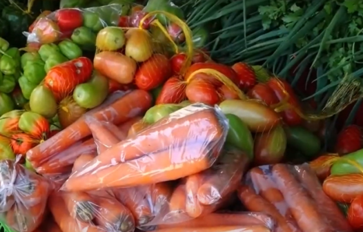 Preços de tomate, cenoura e cebola caem 25%; dica de especialista é pesquisar para comprar