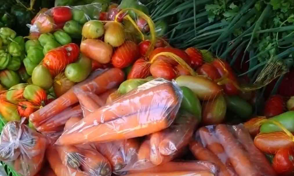 Preços de tomate, cenoura e cebola caem 25%; dica de especialista é pesquisar para comprar