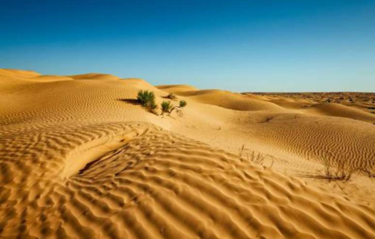 Deserto do Saara pode enfrentar chuvas fortes nos próximos dias; entenda