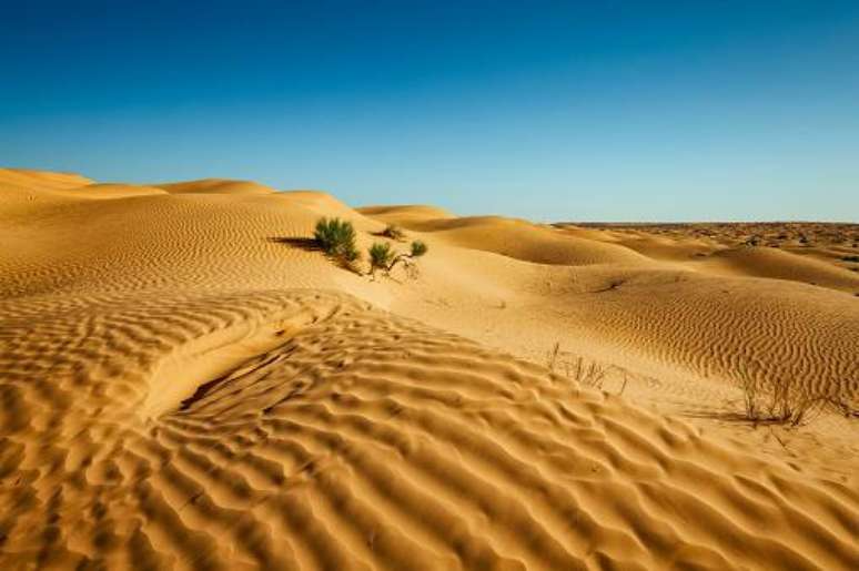 Deserto do Saara pode enfrentar chuvas fortes nos próximos dias; entenda