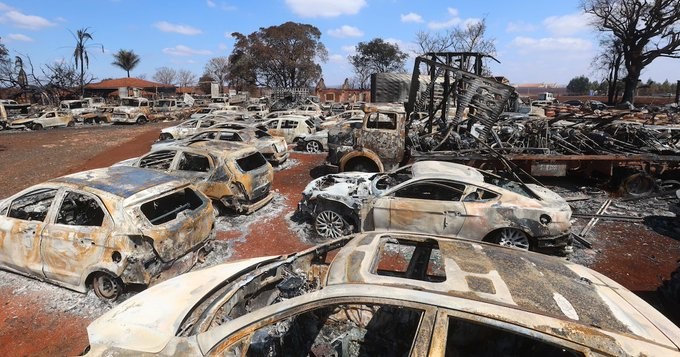 São Paulo terá risco máximo de incêndios em quase todas as regiões no fim da semana