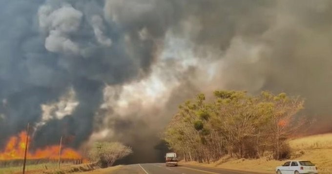 Prejuízo causado pelas queimadas em SP deve passar de R$ 1 bilhão