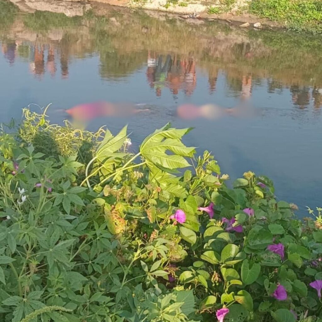 Corpos de mulheres mortas a tiros são encontrados em rio em Fortaleza