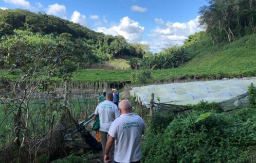 Ceará tem 122 casos confirmados de Febre Oropouche; veja sintomas e prevenção