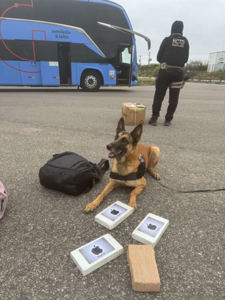 Mulher que vinha de Goiânia em posse de 4 kg de drogas é presa no Cariri