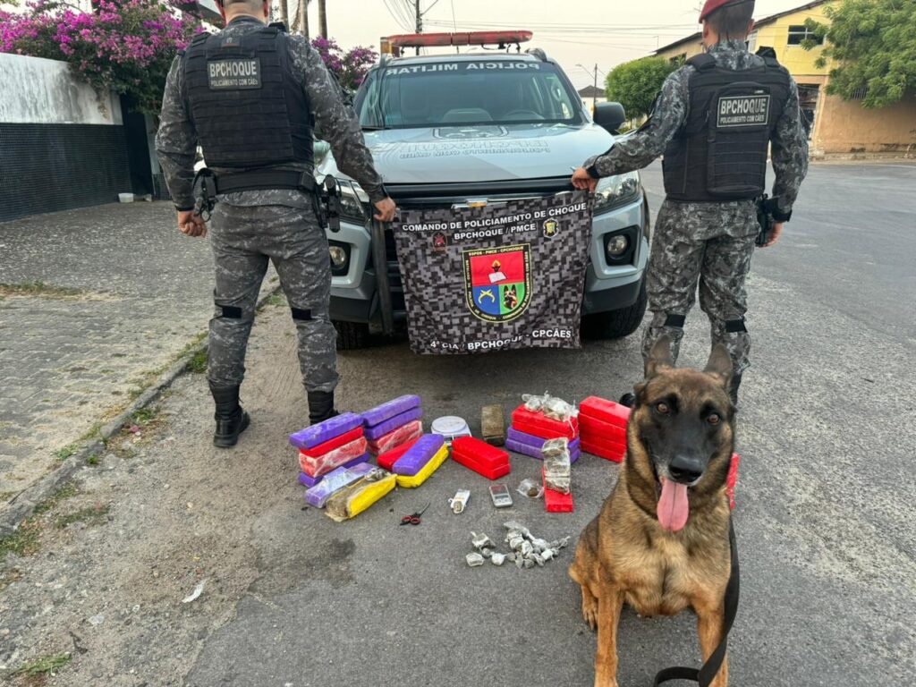 Polícia Militar apreende quase 30 quilos de maconha durante operação em Fortaleza