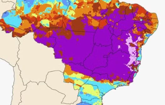 Ceará tem áreas que estão sem chuva há 150 dias e com propensão a incêndios