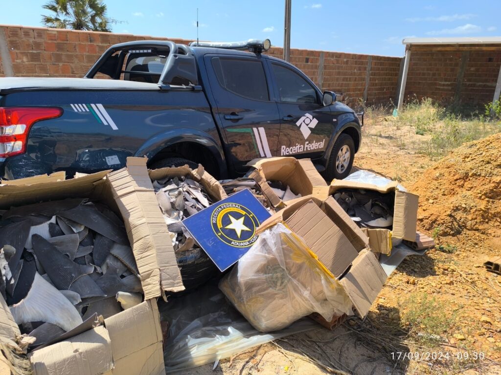 Receita apreende 230 kg de barbatanas de tubarão que seriam vendidas ilegalmente por R$ 3 milhões