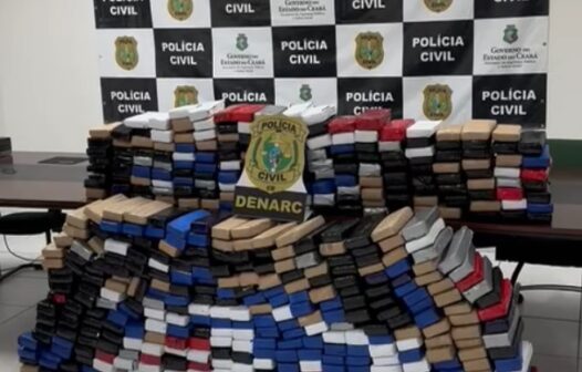 Polícia Civil apreende em Caucaia 505 tabletes de maconha, equivalentes a 355 kg