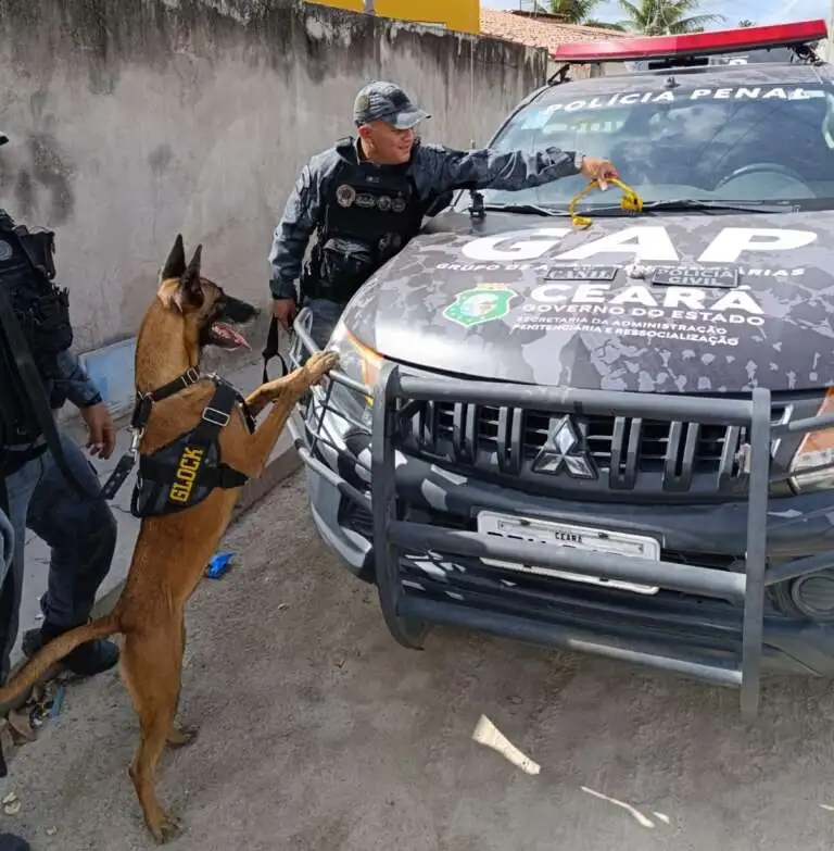 Quatro homens são presos em Itaitinga/CE em operação que mira suspeitos de homicídios