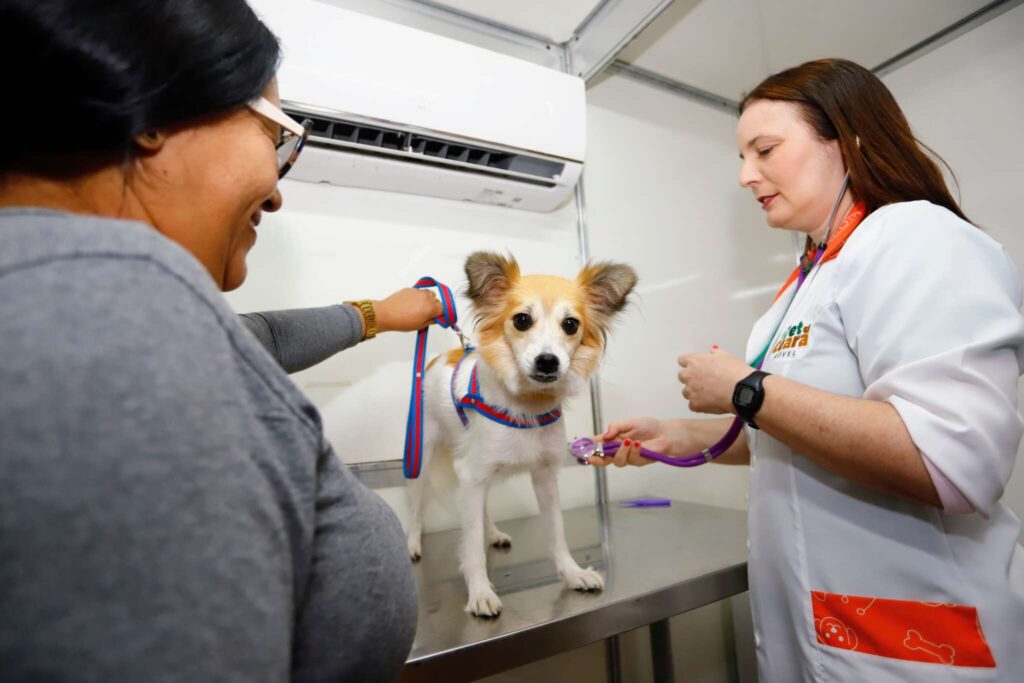 "Pet Ceará Móvel: Mondubim e Barra do Ceará recebem atendimento veterinário grátis