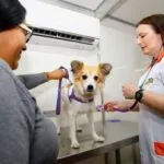 Pet Ceará Móvel: Mondubim e Barra do Ceará recebem atendimento veterinário grátis