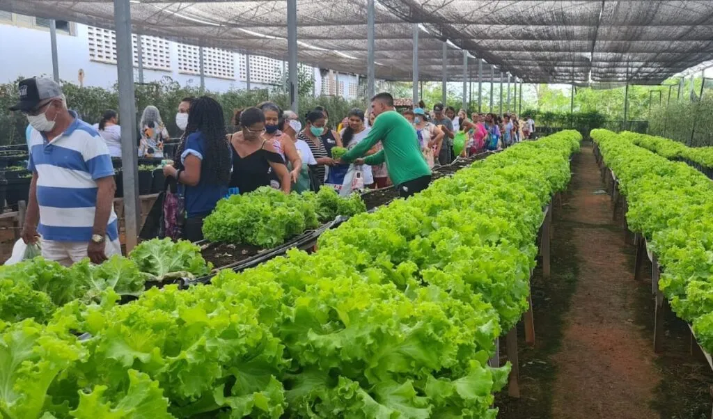 Horta social de Jacarecanga realiza primeiro plantio e beneficiará 400 pessoas