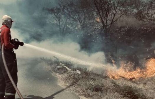 Incêndios em vegetação no Ceará aumentam 4,7% em 2024, alerta Corpo de Bombeiros