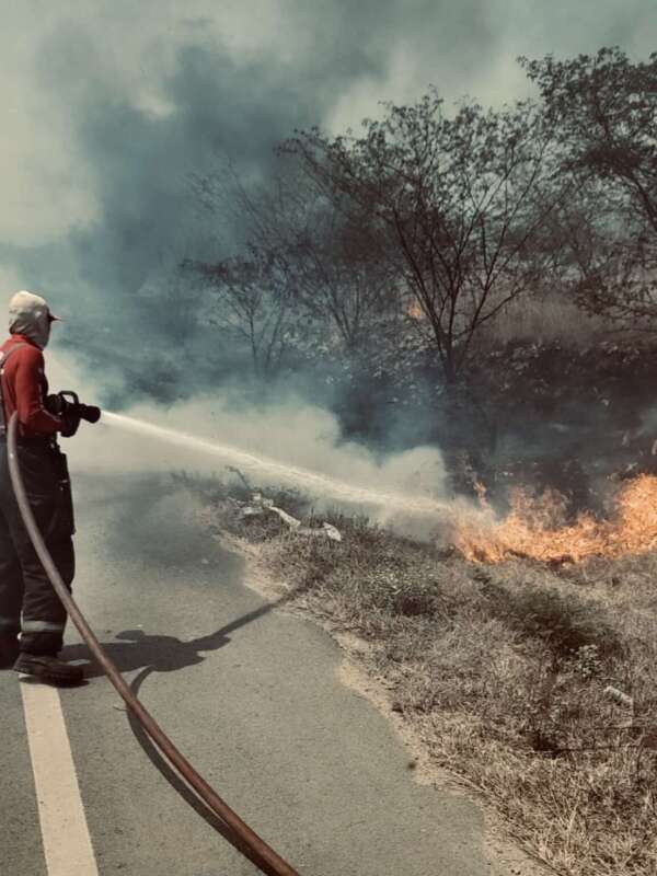 Incêndios em vegetação no Ceará aumentam 4,7% em 2024, alerta Corpo de Bombeiros