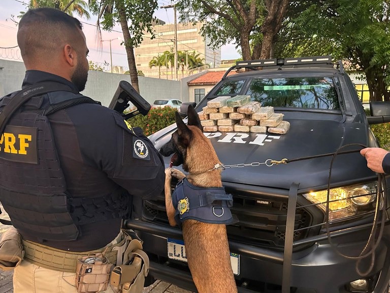 Mulher com bebê de 3 meses é presa transportando 20kg de cocaína na BR-222 em Caucaia