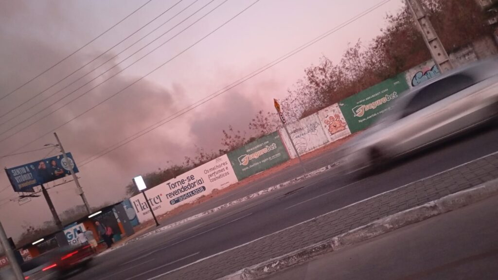 Incêndio de grandes proporções atinge área de vegetação do Parque do Cocó