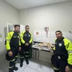 Agentes da AMC prestam socorro a cachorro atropelado e motociclista ferido em Fortaleza