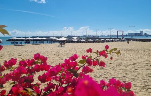 Fortaleza tem 22 praias próprias para banho neste fim de semana; confira os trechos