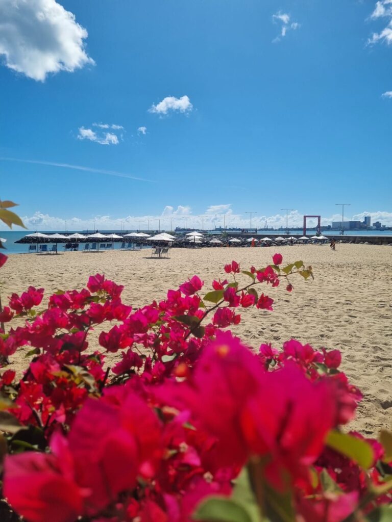 Fortaleza tem 22 praias próprias para banho neste fim de semana; confira os trechos