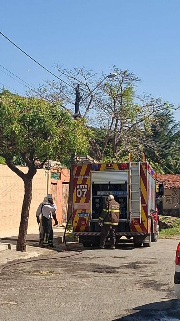 Ataque de abelhas mata quatro cães e deixa moradores feridos em Fortaleza