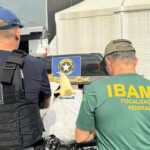 Operação conjunta da Receita Federal e Ibama apreende 96 kg de barbatanas de Tubarão-Azul no Aeroporto de Fortaleza