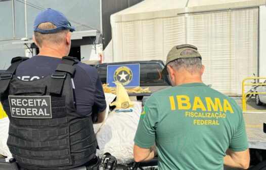 Operação conjunta da Receita Federal e Ibama apreende 96 kg de barbatanas de Tubarão-Azul no Aeroporto de Fortaleza