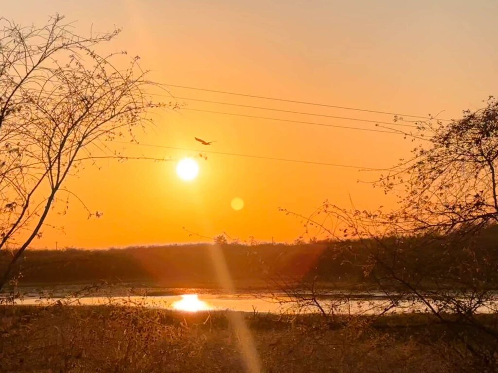 Ceará enfrenta temperaturas de até 40ºC e baixa umidade até quinta-feira (26)