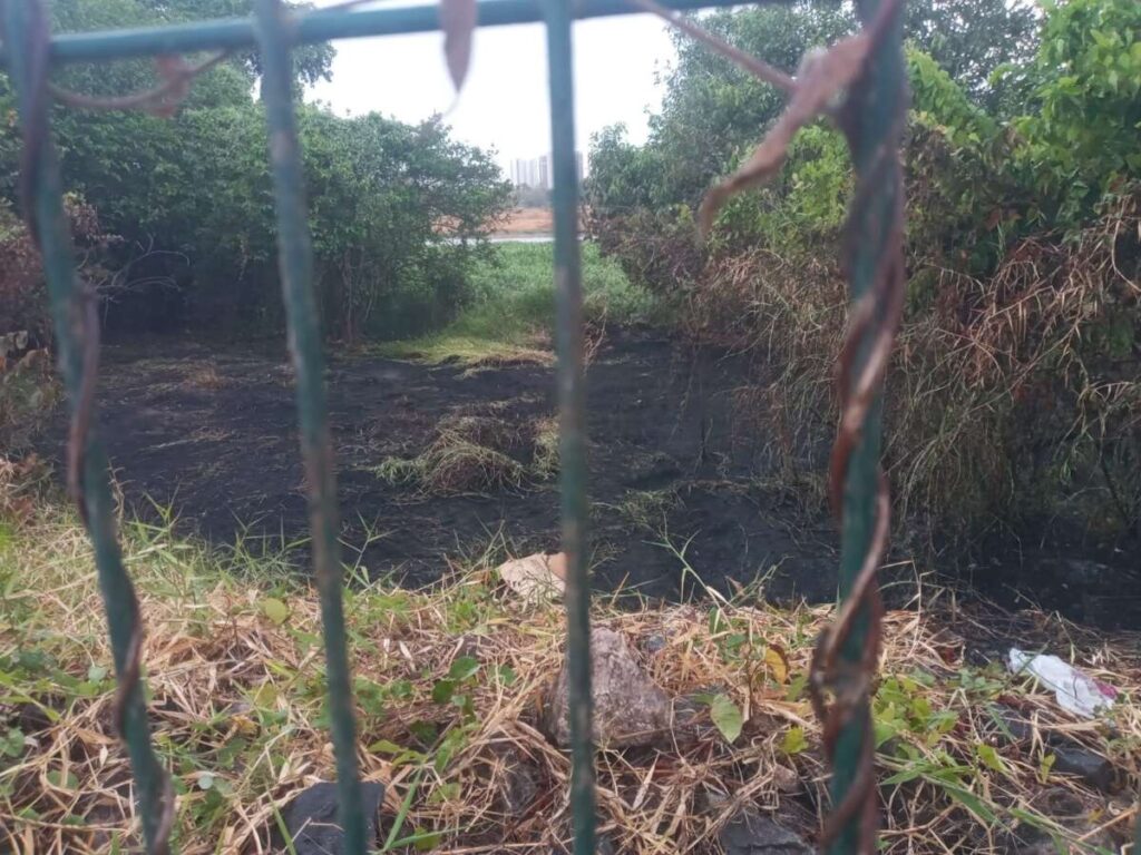 Corpo de Bombeiros apaga incêndio em vegetação no bairro Aerolândia, em Fortaleza